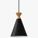 suspension-au-design-nordique-pour-la-maison-0.png