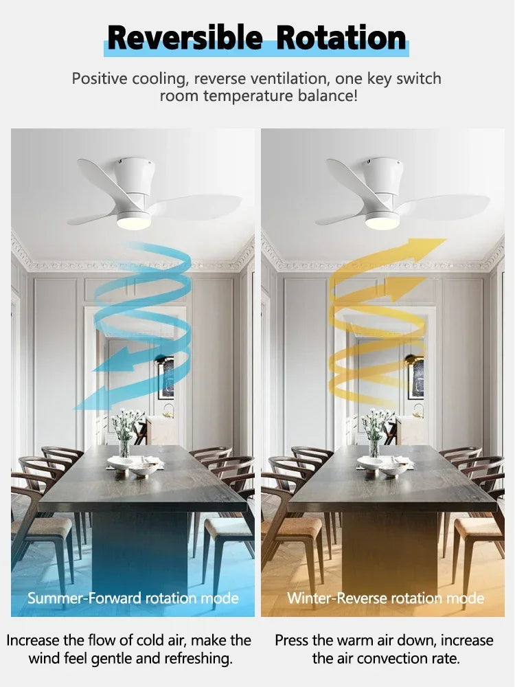 ventilateur de plafond moderne sans lumières lux&vitae led avec télécommande