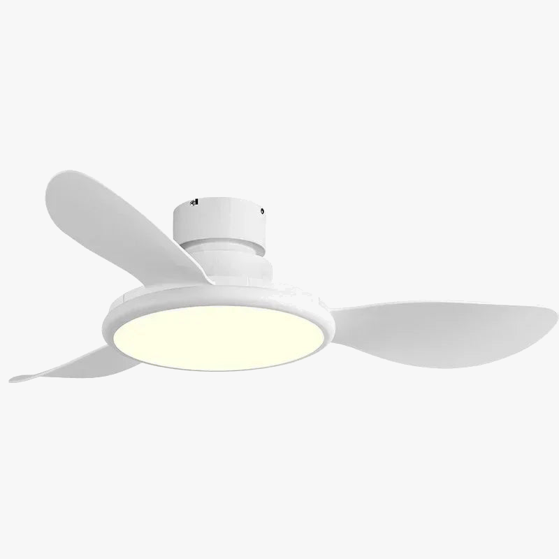 ventilateur-de-plafond-simple-avec-lumi-re-led-et-t-l-commande-9.png