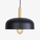 Suspension design à LED avec abat-jour en métal coloré Loft