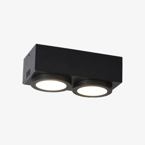 Spot moderne LED rectangulaire avec 2 lampes Connie