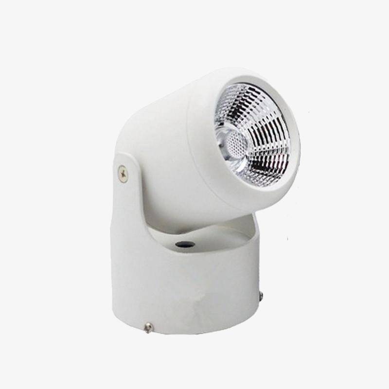 Spot LED directionnel (noir ou blanc)