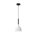 Suspension moderne LED minimaliste en métal Willo