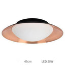Plafonnier moderne LED avec abat-jour arrondi et boule lumineuse