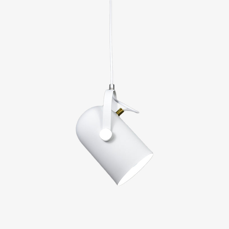 Suspension de spot en aluminium de couleur