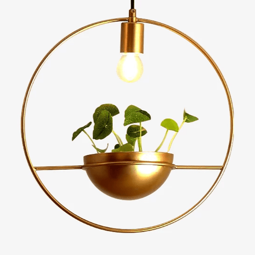Suspension LED design cercle avec boule à plante Ring